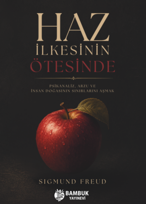 Haz İlkesinin Ötesinde